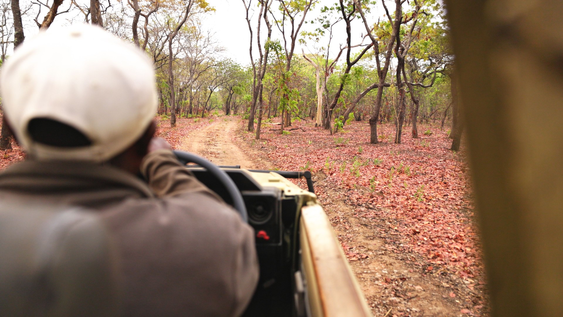 African Safari Guide Navigating a Jeep in Kafue National Park