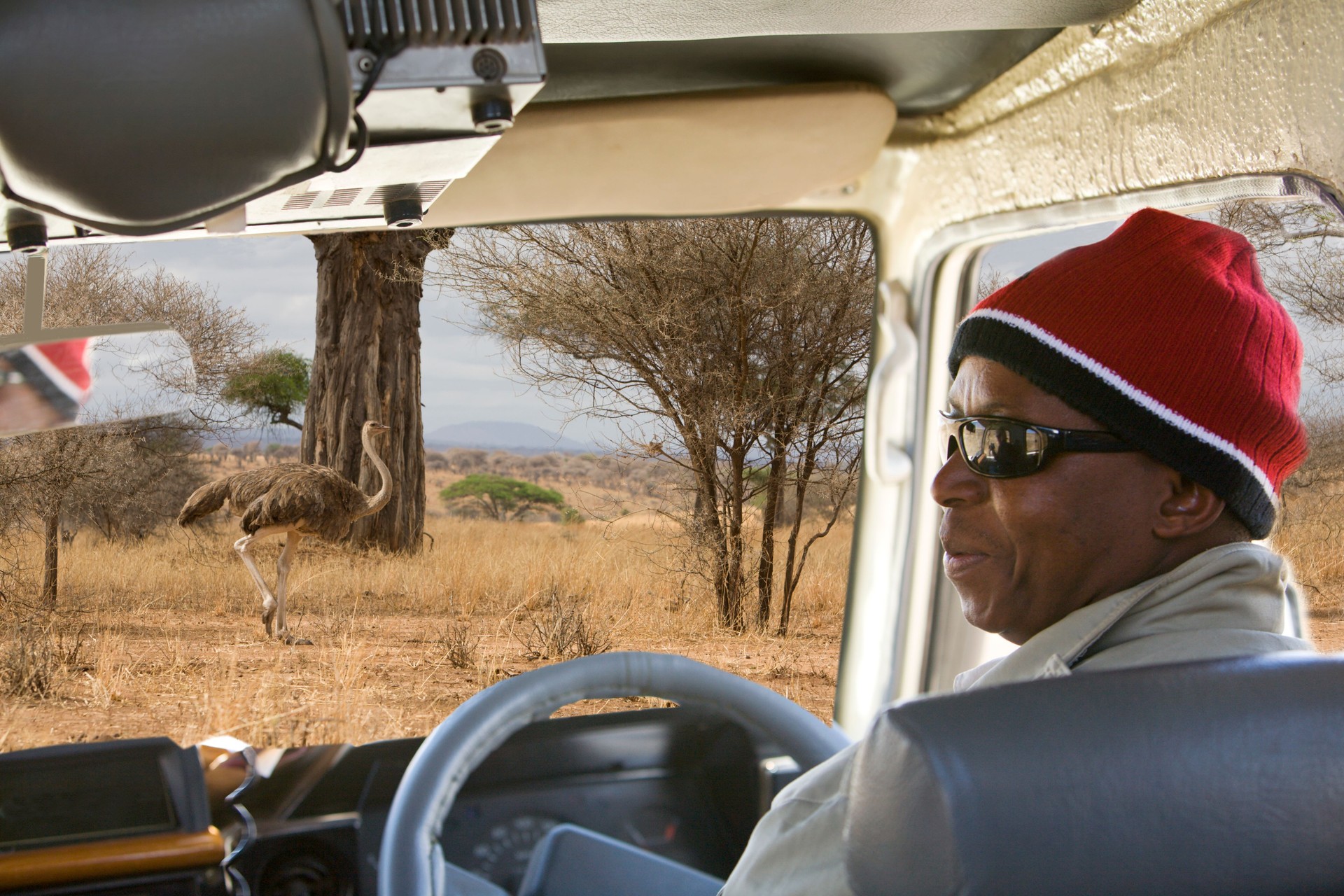 Game drive in Tarangire